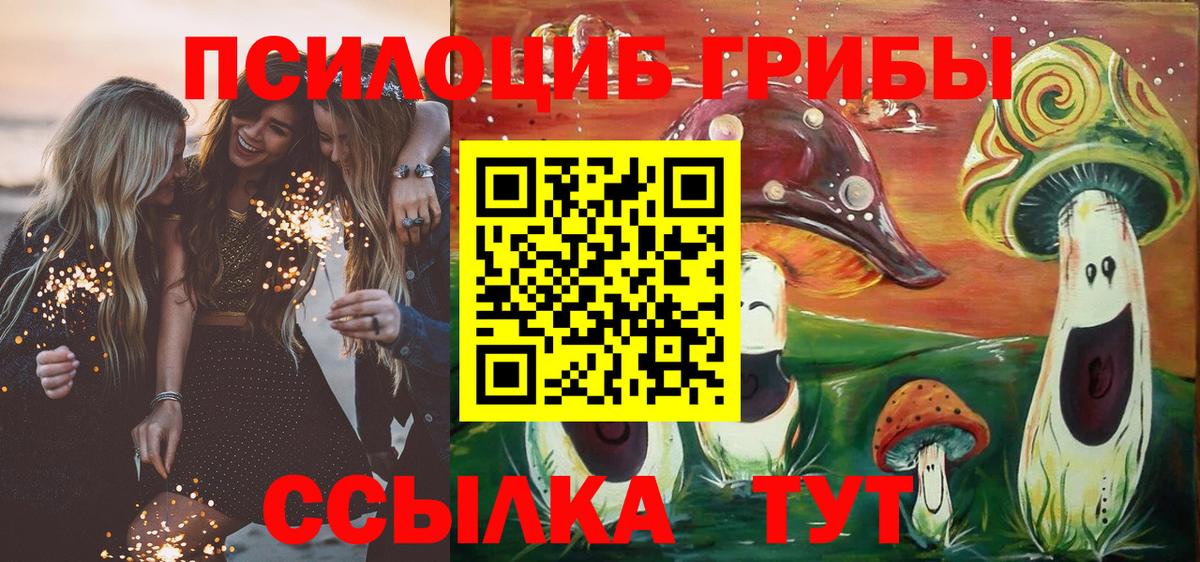 Канаш  Галлюциногенные грибы Psilocybine cubensis  Галлюциногенные грибы ЛСД  Вход с VPN 