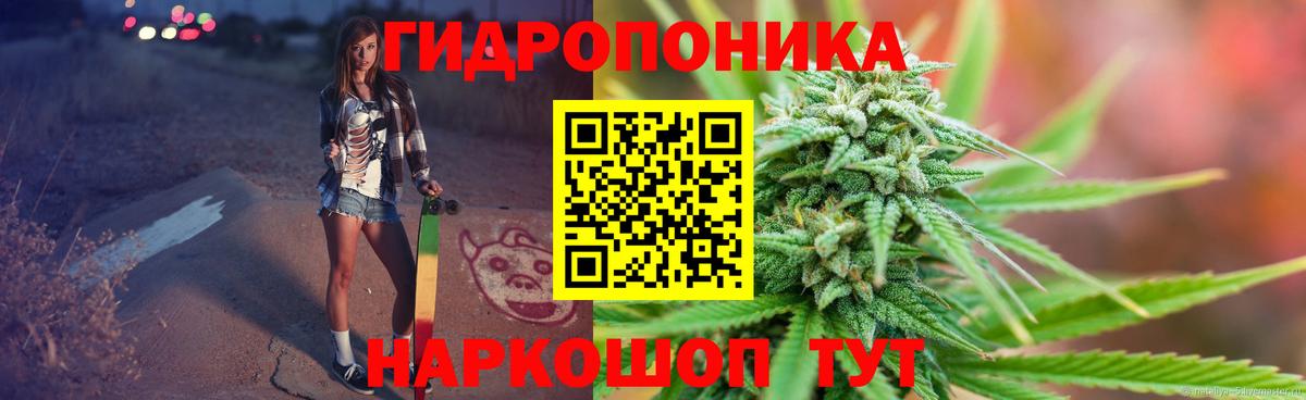 Бошки Шишки Amnesia  Каннабис семена  Вход с VPN  Канаш 